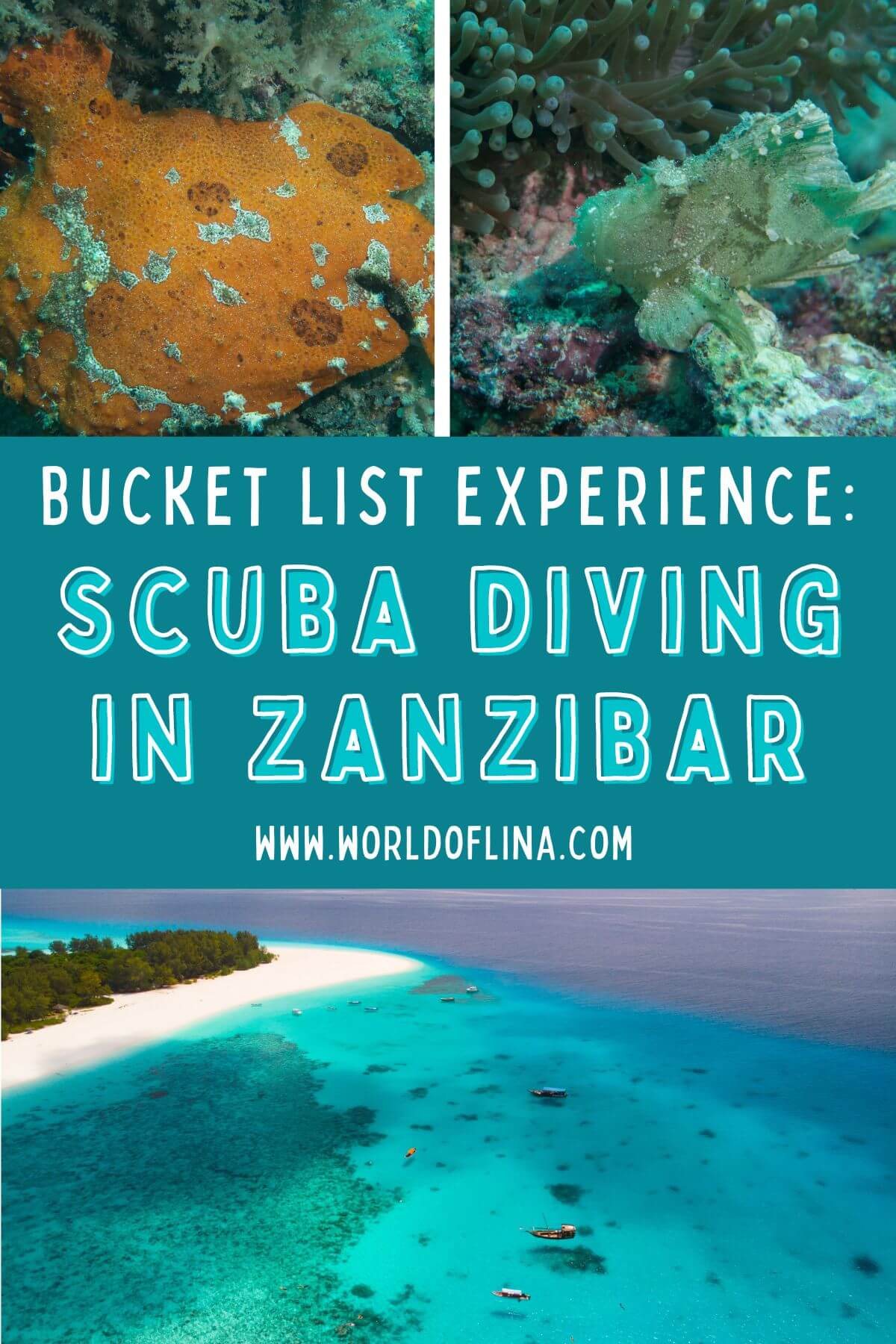 Bucket List Experience: Scuba Diving in Zanzibar - World of Lina